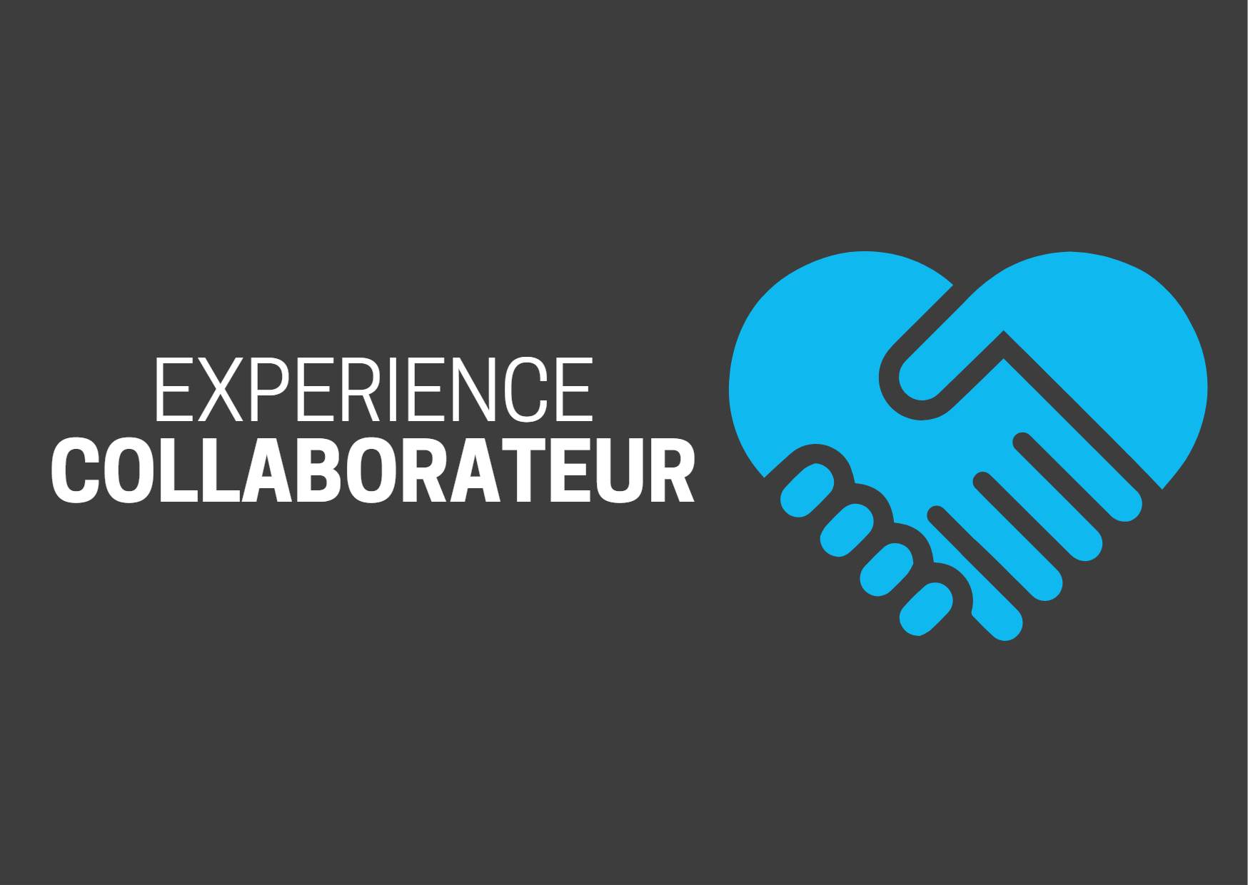 Expérience Collaborateur